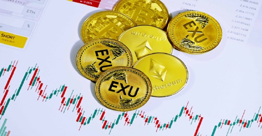 How to Build Wealth with Long-Term Forex Market Investments