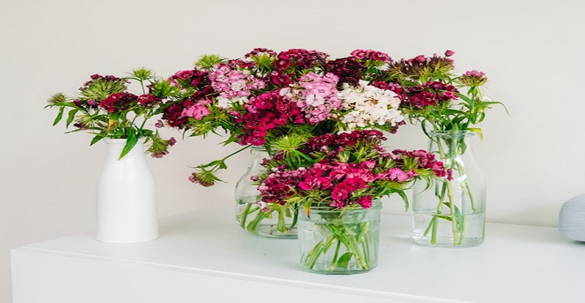 The Ultimate Guide to Choosing the Perfect Flowers and Gifts for Any Occasion