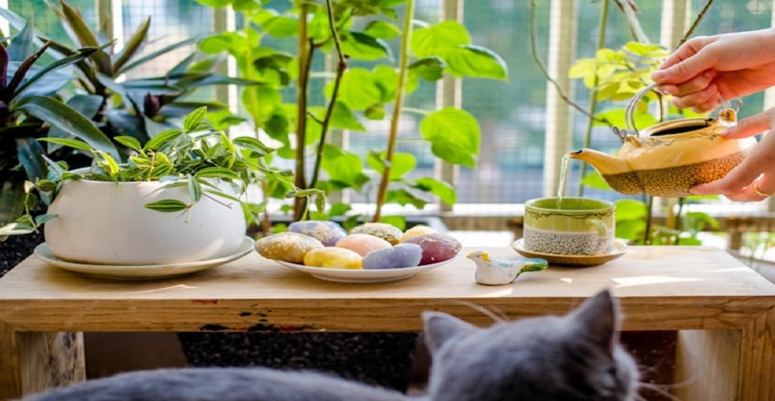Home & Garden Essentials: Creating a Space That Reflects Comfort and Style