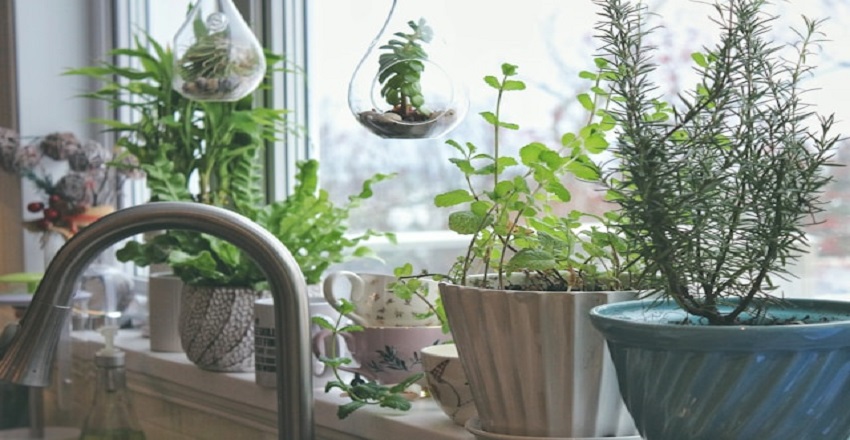 Budget-Friendly Home and Garden Essentials That Don’t Compromise Quality