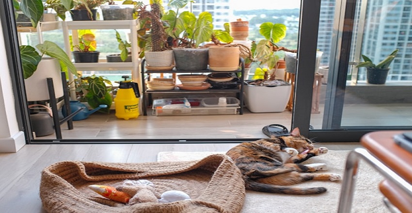 How to Create a Cozy and Functional Home and Garden Setup