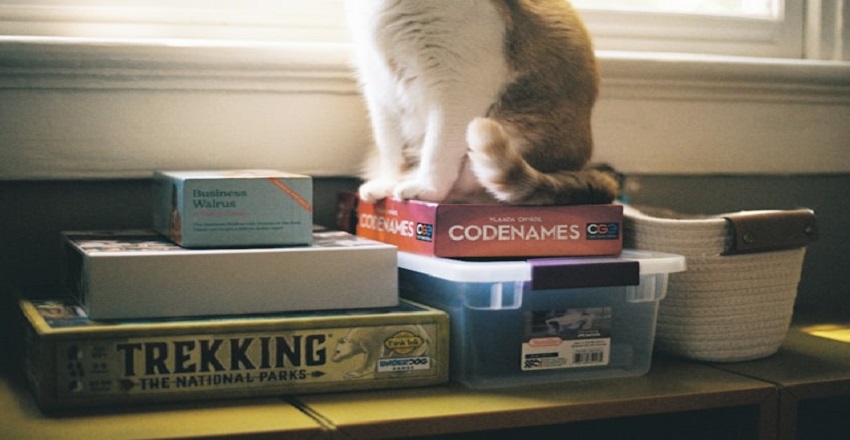 The Ultimate Guide to Must-Have Essentials for Your Pets